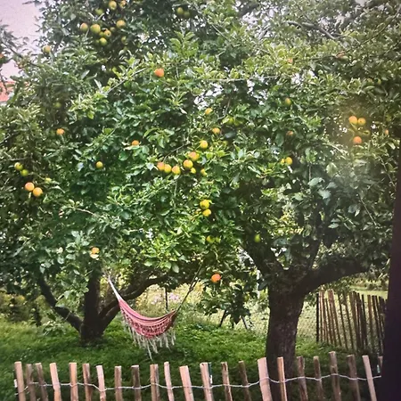 Hébergement de vacances Kapitaenshaus *