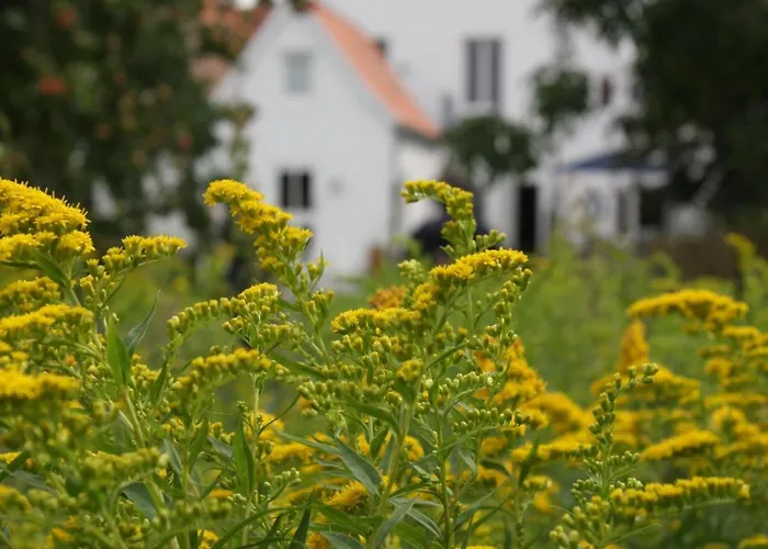 Kapitaenshaus Semesterbostad Lübeck